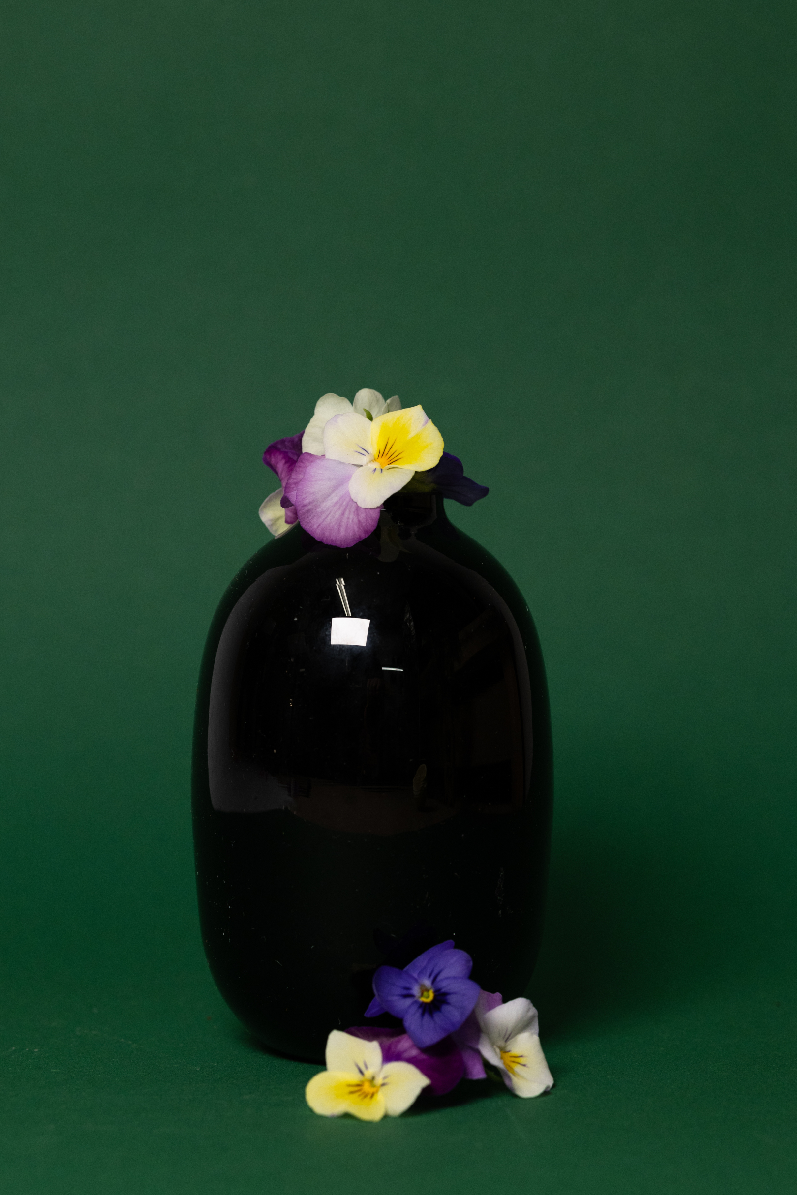 Grün & Würzig Microgreens Farm - Anbau, Herstellung, Anbieter und Handel für Kresse und Blüten