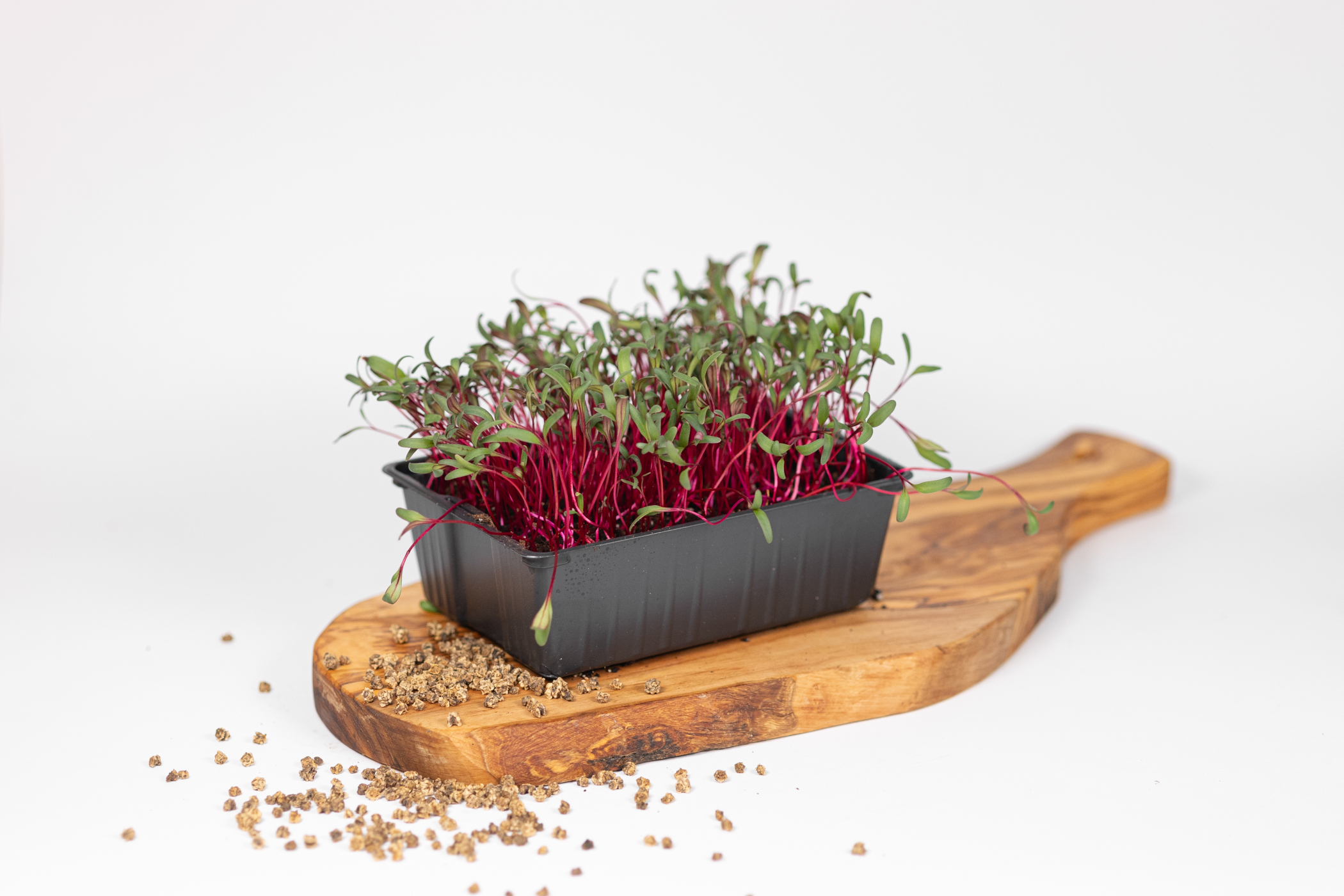 Grün & Würzig Microgreens Farm - Anbau, Herstellung, Anbieter und Handel für Kresse und Blüten